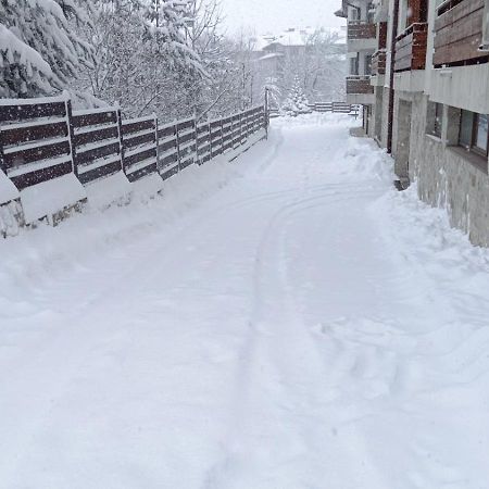 Apartment Detelina Residence Bansko Esterno foto
