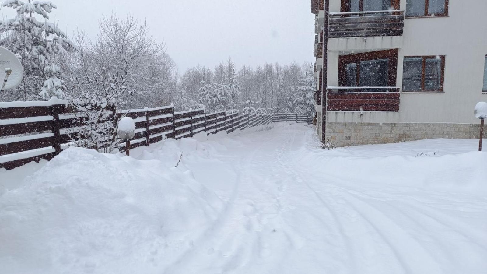 Apartment Detelina Residence Bansko Esterno foto