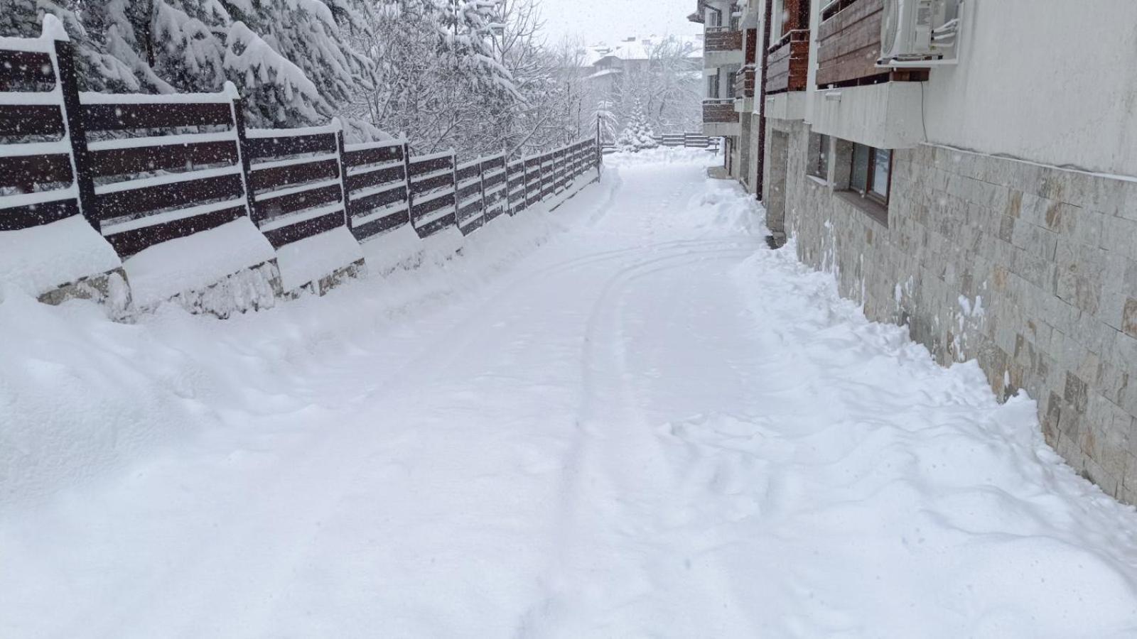 Apartment Detelina Residence Bansko Esterno foto