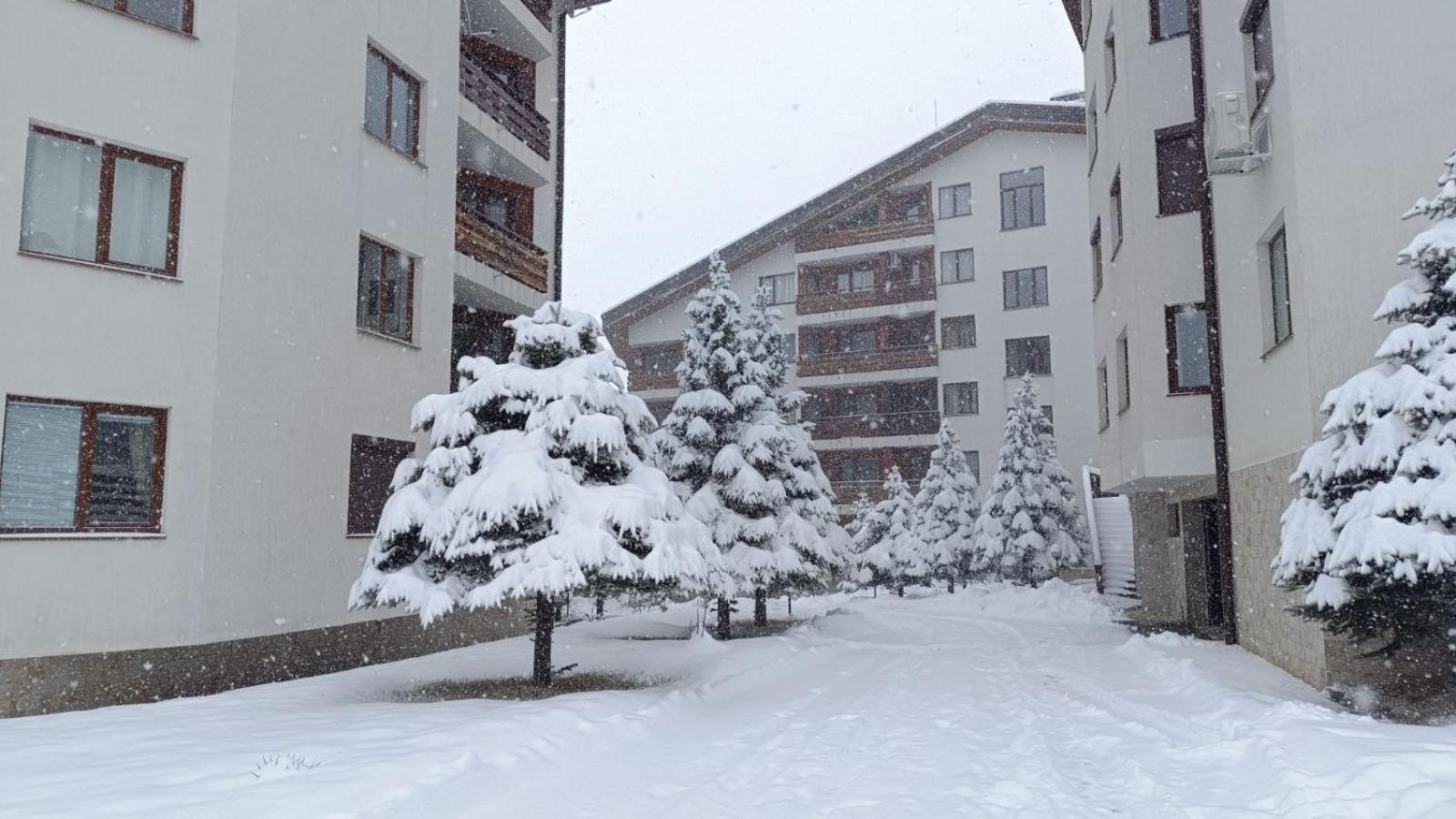Apartment Detelina Residence Bansko Esterno foto
