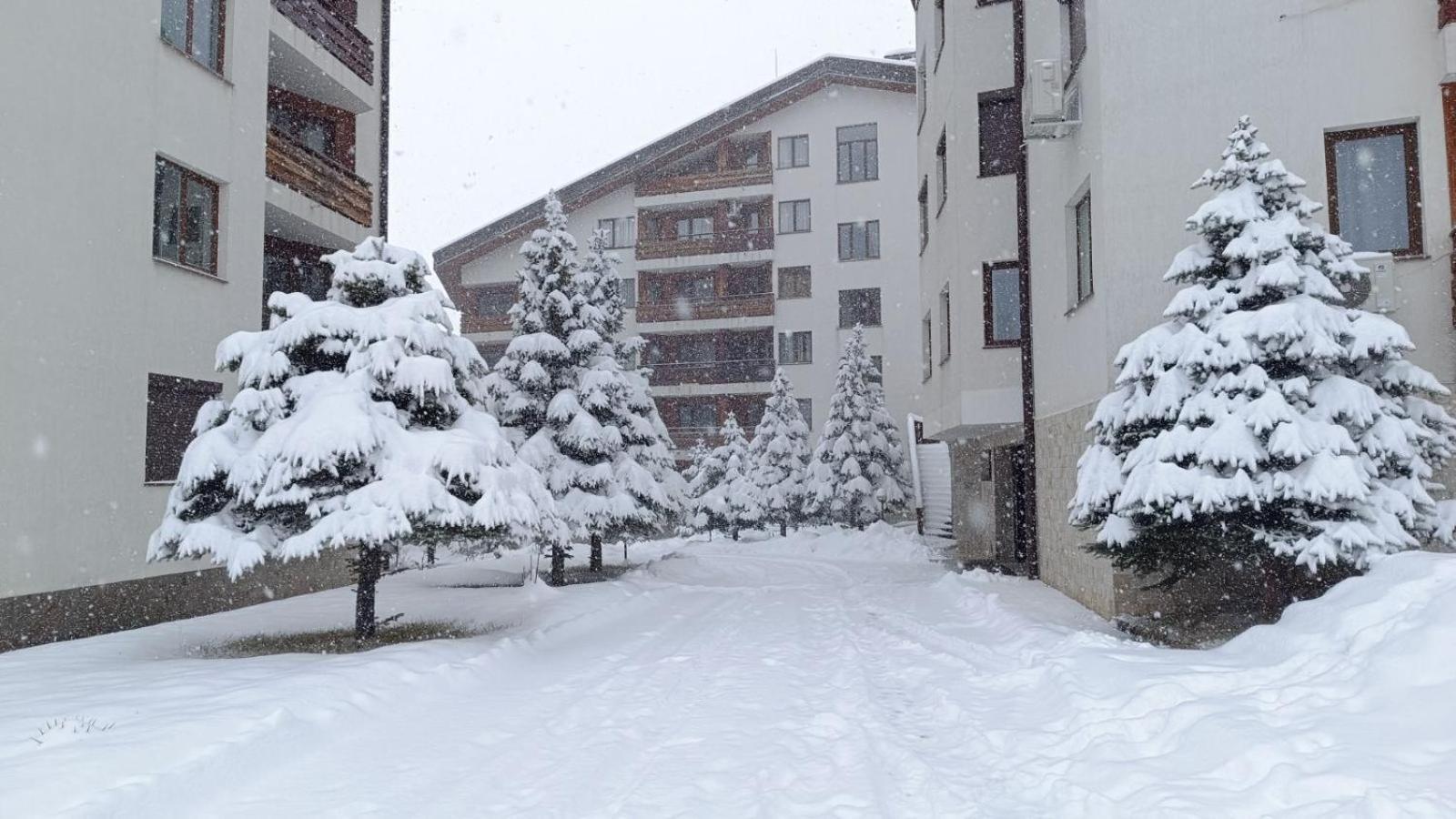 Apartment Detelina Residence Bansko Esterno foto