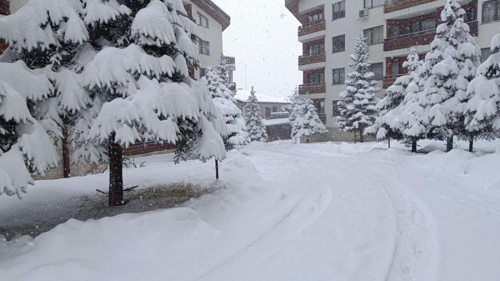 Apartment Detelina Residence Bansko Esterno foto