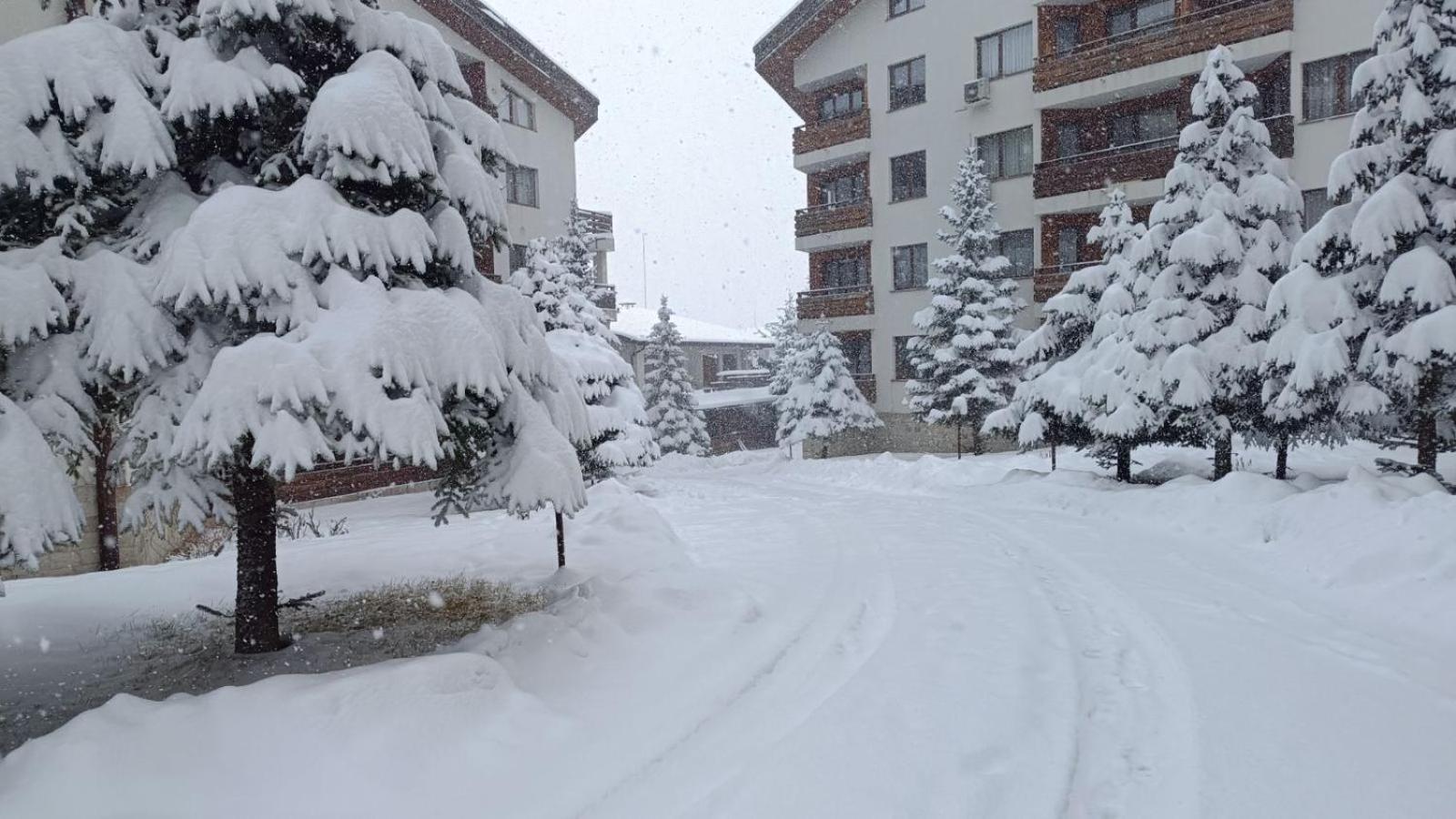 Apartment Detelina Residence Bansko Esterno foto