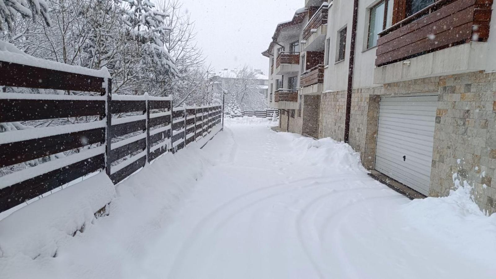 Apartment Detelina Residence Bansko Esterno foto